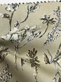4023-250-3 40 Broadcloth Vintage[Textile / Fabric] HOKKOH Sub Photo