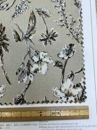 4023-250-3 40 Broadcloth Vintage[Textile / Fabric] HOKKOH Sub Photo