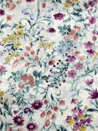 4023-1670-4 60 Lawn[Textile / Fabric] HOKKOH Sub Photo