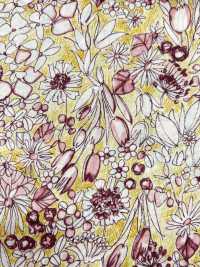 4023-1670-5 60 Lawn[Textile / Fabric] HOKKOH Sub Photo