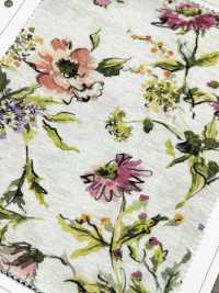 4023-1470-1 30/1SZ Jersey[Textile / Fabric] HOKKOH Sub Photo