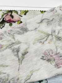 4023-1470-1 30/1SZ Jersey[Textile / Fabric] HOKKOH Sub Photo