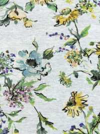 4023-1470-1 30/1SZ Jersey[Textile / Fabric] HOKKOH Sub Photo