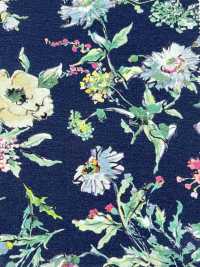 4023-1470-1 30/1SZ Jersey[Textile / Fabric] HOKKOH Sub Photo