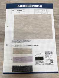 ST3014 Banglo Bamboo (Banshu Weave)[Textile / Fabric] Kumoi Beauty (Chubu Velveteen Corduroy) Sub Photo