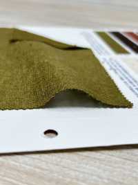M40000 Uneven Thread Morley Canvas Double Face[Textile / Fabric] Kumoi Beauty Sub Photo