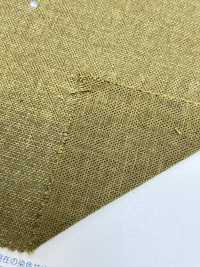 M40000 Uneven Thread Morley Canvas Double Face[Textile / Fabric] Kumoi Beauty Sub Photo