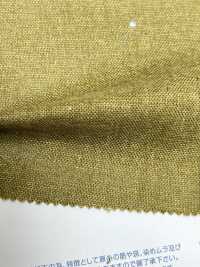 M40000 Uneven Thread Morley Canvas Double Face[Textile / Fabric] Kumoi Beauty Sub Photo