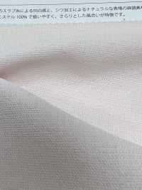 DB1003-SY Linen Slab Dobby[Textile / Fabric] Suncorona Oda Sub Photo