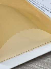 FR2023 Flame Retardant Glass Organza[Textile / Fabric] Suncorona Oda Sub Photo