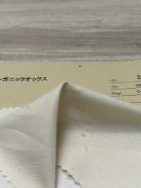 2821 Yarn Dyed Organic Oxford[Textile / Fabric] ARINOBE CO., LTD. Sub Photo