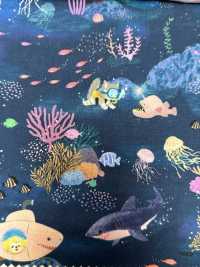 DP-4420-4 22fabric[Textile / Fabric] HOKKOH Sub Photo