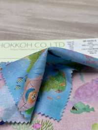 DP-4420-4 22fabric[Textile / Fabric] HOKKOH Sub Photo