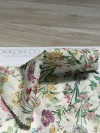 4024-660-3 60 Lawn[Textile / Fabric] HOKKOH Sub Photo