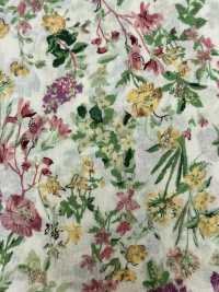 4024-660-3 60 Lawn[Textile / Fabric] HOKKOH Sub Photo