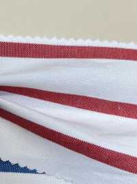 3331 American Oxford Horizontal Stripes[Textile / Fabric] ARINOBE CO., LTD. Sub Photo