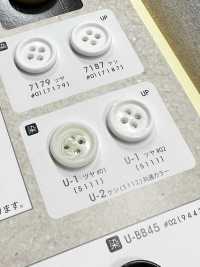 U2 [Nut Style] 4-hole Button With Border, No Gloss, For Dyeing NITTO Button Sub Photo