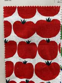 850412 Linen Linen Canvas TOMATO[Textile / Fabric] VANCET Sub Photo