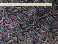 4223 200 Broadcloth Stylish Vintage Paisley[Textile / Fabric] VANCET Sub Photo