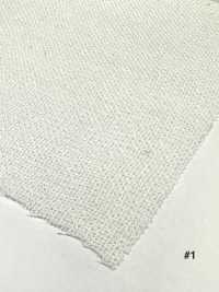 2215 Linen Rayon Nylon Leno Weave Weave[Textile / Fabric] Fine Textile Sub Photo