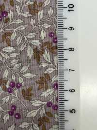 83038 SEVENBERRY® Nostalgia Collection Lawn -Free Nuts & Berries[Textile / Fabric] VANCET Sub Photo