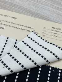 AN-9250 Wabash Dobby Cloth[Textile / Fabric] ARINOBE CO., LTD. Sub Photo