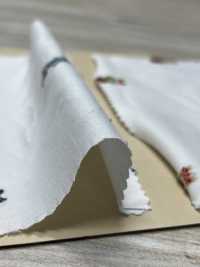 A-1702 Cut Jacquard[Textile / Fabric] ARINOBE Sub Photo