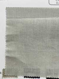 OA221991 60/1 × 80/1 JAPAN LINEN Soft Finish (Ecru)[Textile / Fabric] Oharayaseni Sub Photo