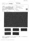 OFC5500 Recycled Wool Tweed Pin Dots