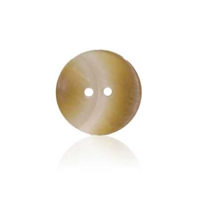 SS1045 Polyester Resin 2-hole Button
