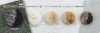 PW2086 Polyester Resin 2-hole Button With Front Holes
