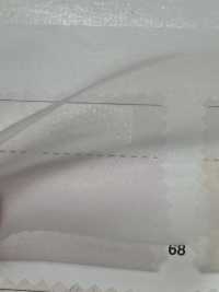 KR-2020 Soft Organdy[Textile / Fabric] Kyara Fabric Sub Photo