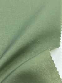 LIG6650 Ny Taslan Light Taffeta[Textile / Fabric] Lingo (Kuwamura Textile) Sub Photo
