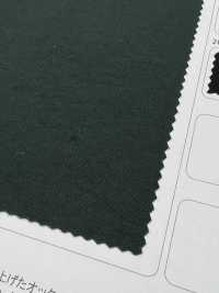 LIG6670 Ny Taslan Vintage Oxford[Textile / Fabric] Lingo (Kuwamura Textiles) Sub Photo