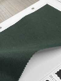 LIG6670 Ny Taslan Vintage Oxford[Textile / Fabric] Lingo (Kuwamura Textiles) Sub Photo