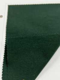 LIG6670 Ny Taslan Vintage Oxford[Textile / Fabric] Lingo (Kuwamura Textiles) Sub Photo