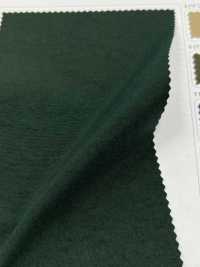 LIG6670 Ny Taslan Vintage Oxford[Textile / Fabric] Lingo (Kuwamura Textiles) Sub Photo