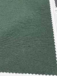 LIG6670 Ny Taslan Vintage Oxford[Textile / Fabric] Lingo (Kuwamura Textiles) Sub Photo