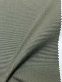 LIG6715 Nytaslang Grosgrain Moisture-permeable Coating[Textile / Fabric] Lingo (Kuwamura Textile) Sub Photo