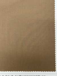 LIG8064 Tecna Cotton 80/1 Type Road[Textile / Fabric] Lingo (Kuwamura Textile) Sub Photo