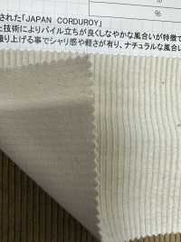 CF7000 9W C/F (Linen) Corduroy[outlet][Textile / Fabric] Kumoi Beauty Sub Photo