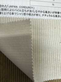 CF7000UN 9W C/F (Linen) Corduroy[outlet][Textile / Fabric] Kumoi Beauty (Chubu Velveteen Corduroy) Sub Photo