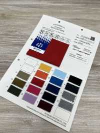 FJ230180 E.EARTH Stretch Jersey[Textile / Fabric] Fujisaki Textile Sub Photo