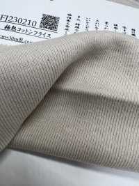 FJ230210 Extremely Mature Cotton Circular Rib[Textile / Fabric] Fujisaki Textile Sub Photo