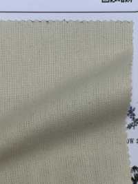 OMD4711 CANVAS No.11[Textile / Fabric] Oharayaseni Sub Photo