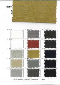 RN5038 Half Linen Panama Wild Wash[Textile / Fabric] KOYAMA Sub Photo