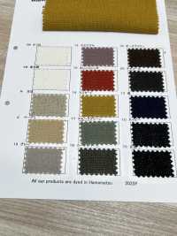 RN5038 Half Linen Panama Wild Wash[Textile / Fabric] KOYAMA Sub Photo