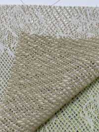 BS70004 Double Raschel Kikamesh[Textile / Fabric] B Space Sub Photo