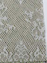 BS70004 Double Raschel Kikamesh[Textile / Fabric] B Space Sub Photo