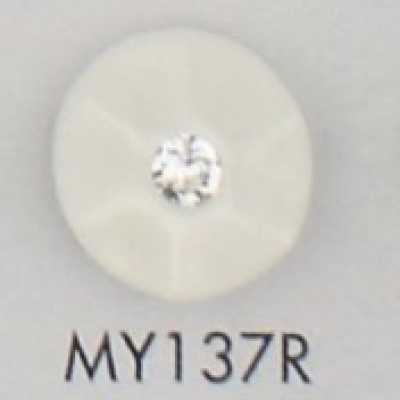 Polyester Resin Button